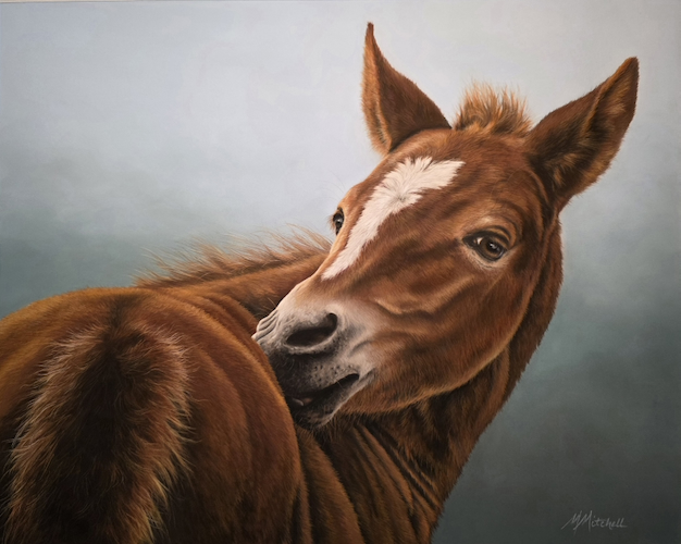 That's The Spot, Itchy Foal 16x20 $1900 at Hunter Wolff Gallery